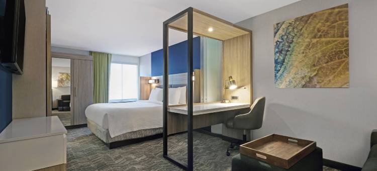 棕榈沙漠万豪SpringHill Suites酒店(SpringHill Suites Palm Desert)图片