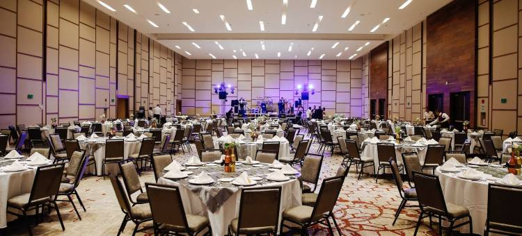 塞拉亚希尔顿逸林酒店(DoubleTree by Hilton Celaya)图片