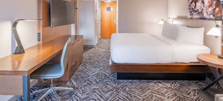 达拉斯农民希尔顿逸林酒店(DoubleTree by Hilton Dallas - Farmers Branch)图片