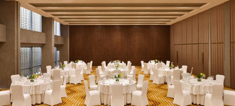 新德里航空城雅乐轩酒店(Aloft New Delhi Aerocity)图片