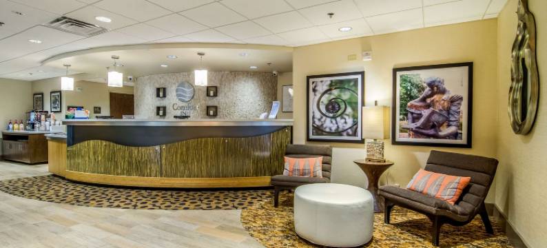 罗利城区舒适酒店(Comfort Inn Raleigh Midtown)图片