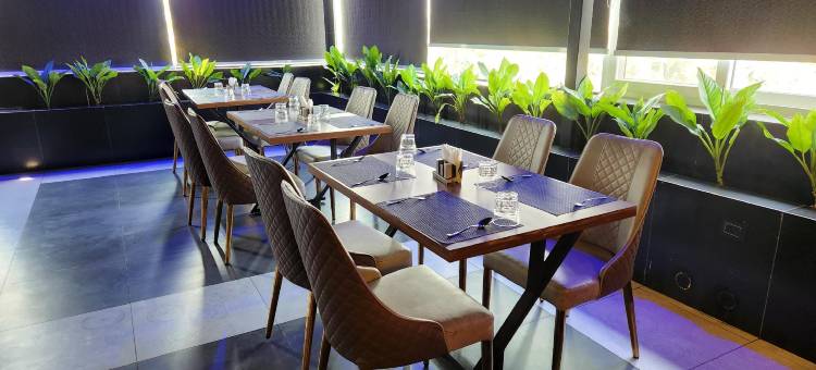 绿星高级旅馆(The Greenstar Inn Premium)图片