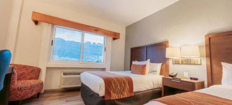 蒙特雷山谷舒适酒店(Comfort Inn Monterrey Valle)图片