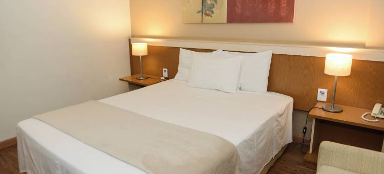 Astron酒店包鲁by Nobile(Astron Hotel Bauru by Nobile)图片