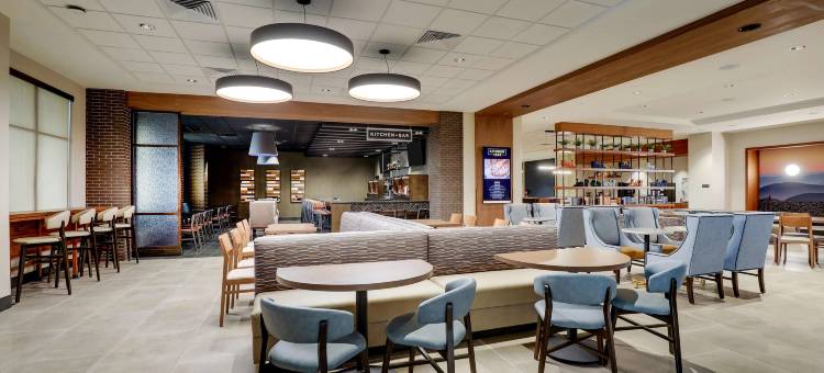 德鲁里广场酒店查塔努加汉密尔顿地方(Drury Plaza Hotel Chattanooga Hamilton Place)图片