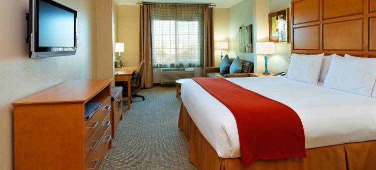 智选假日套房酒店圣克拉拉 - 硅谷(Holiday Inn Express & Suites Santa Clara - Silicon Valley)图片