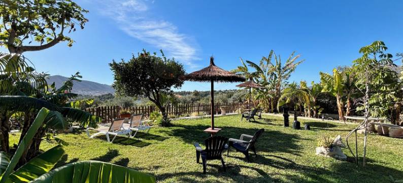 阿尔提亚天堂 1917 酒店(Hotel Altea Paradise 1917 - Adults Only)图片