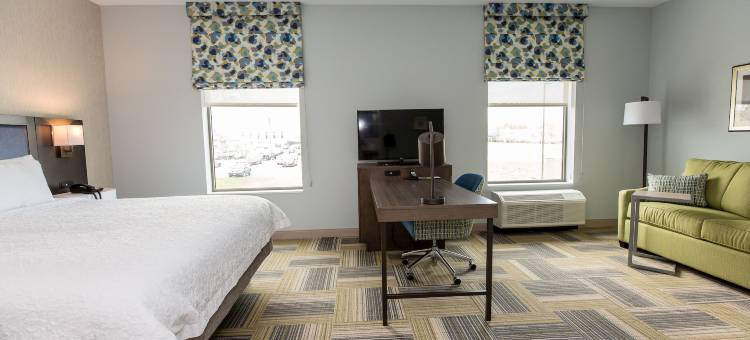 雪城华美达酒店(Hampton Inn & Suites Syracuse-North (Airport Area))图片