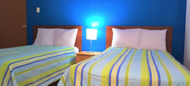 罗德因青年旅舍(Hostal Rodinn)图片