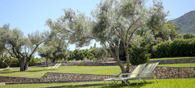 爱奥尼亚蓝色小屋及温泉度假酒店(Ionian Blue Bungalows and Spa Resort)图片