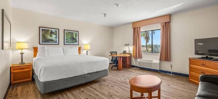 坦帕布兰顿西拉昆塔温德姆套房酒店(La Quinta Inn & Suites by Wyndham Tampa Brandon West)图片