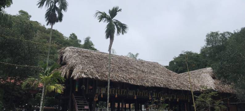 幸运蜂民宿(Bee Lucky Homestay)图片