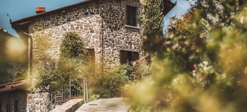 博尔戈巴洛尼乡村家庭旅馆(Borgo I Tre Baroni - Spa Suites & Resort)图片