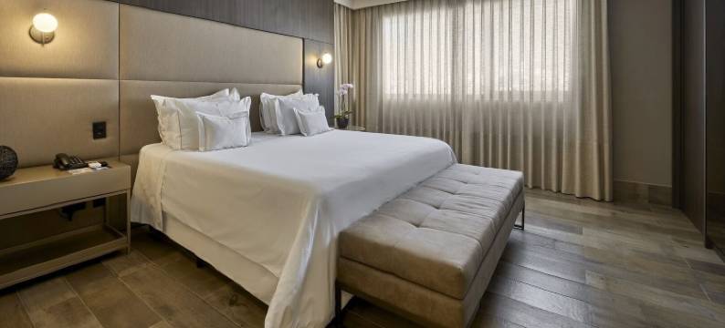 贝洛奥里藏特萨瓦斯丽笙酒店(Radisson Blu Belo Horizonte Savassi)图片