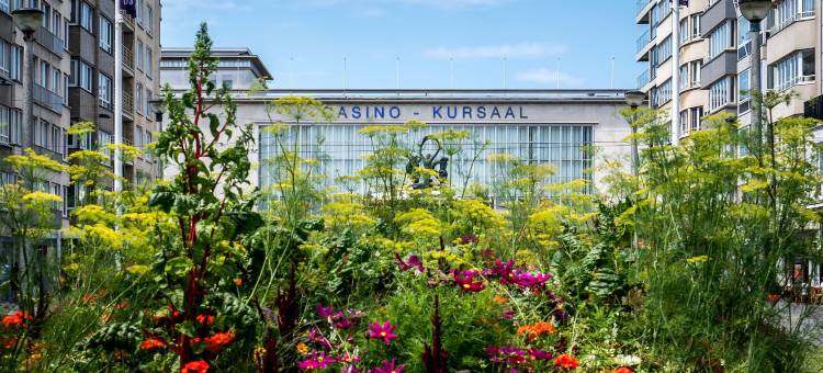 美居奥斯坦德酒店(Hotel Mercure Oostende)图片