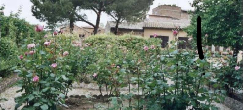 伊斯蒂图托 SS 萨瓦托雷民宿(Istituto SS Salvatore)图片