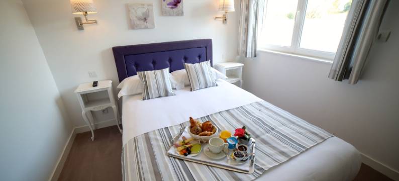 勒里翁德奥尔酒店餐厅(Hotel Restaurant le Lion d'Or)图片