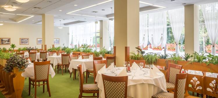 恩萨纳索瓦塔酒店(Ensana Sovata)图片