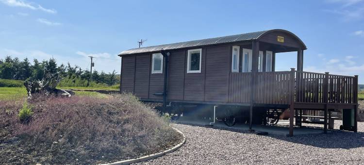 Acdc 华丽露营 - 露营车 - 房车及帐篷度假村(Acdc Glamping, Campervan , Caravan and Tent Resort)图片