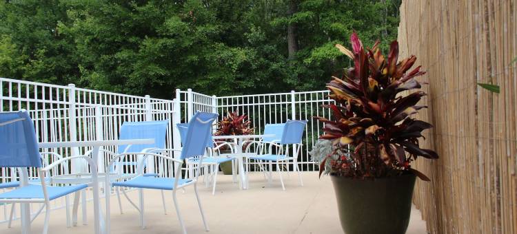 杰克逊维尔丽怡酒店(Country Inn & Suites by Radisson, Jacksonville, FL)图片