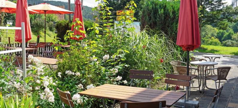 加斯特霍夫促特劳伯酒店(Gasthof Zur Traube)图片