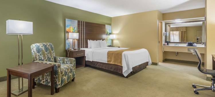 凯艺酒店(Quality Inn of Paris, TN)图片