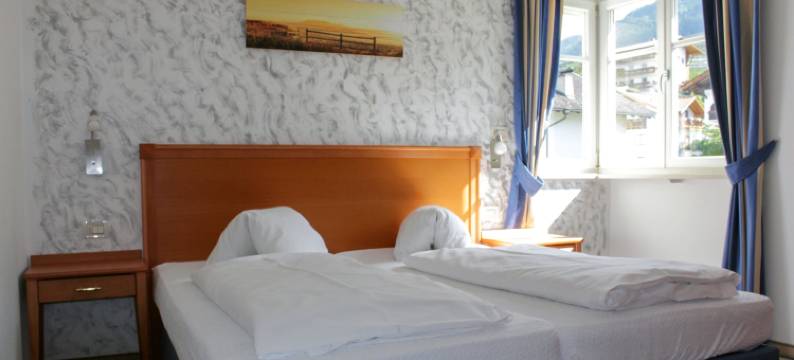 坦内霍夫酒店(Hotel Tannerhof)图片