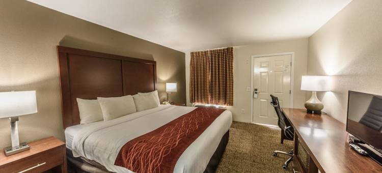 里奇兰酒店(Richland Inn)图片