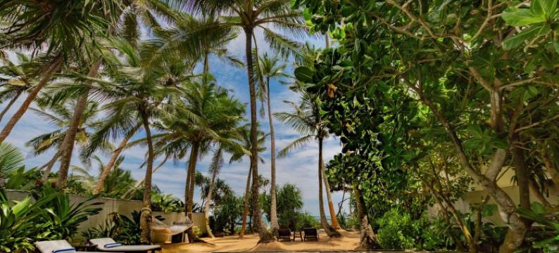 塔鲁别墅 - 906 号 - 希克杜沃(Taru Villas 906 - Hikkaduwa)图片