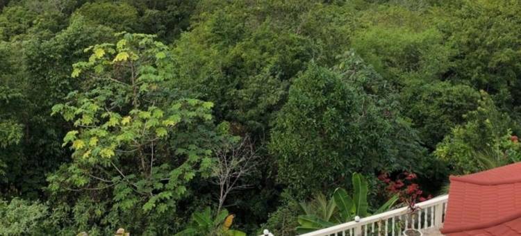 度假休闲套房宾馆(Retreat Guesthouse Luxury Suites)图片