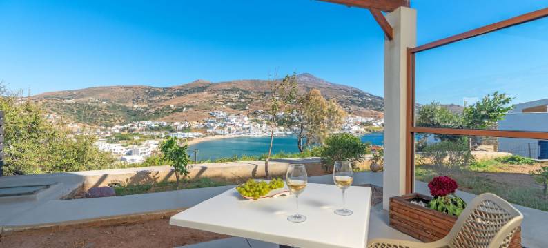 贝维德列安德洛斯公寓酒店(Belvedere Andros)图片