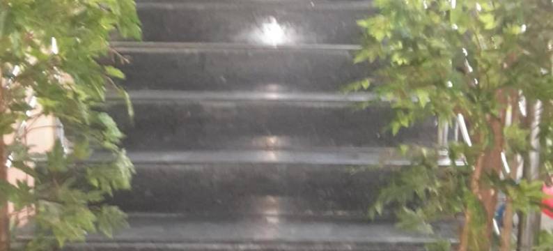 S4住宿旅馆(S4 Residency)图片