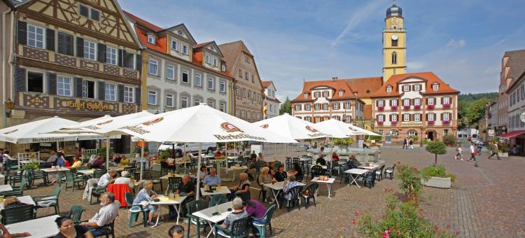 梅根海姆萨沃伊酒店(Savoy Hotel Bad Mergentheim)图片