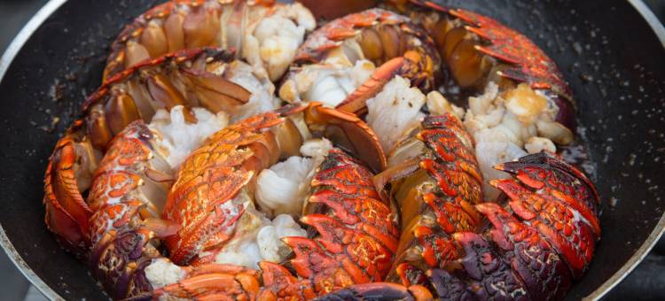 尖塔站高山小屋(Minaret Station Alpine Lodge)图片