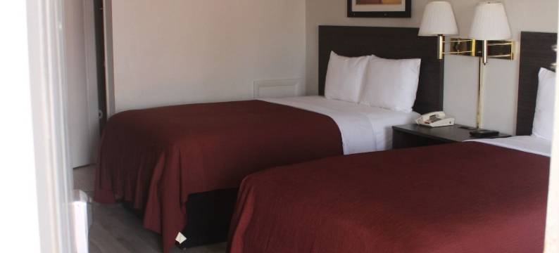 贵宾套房酒店(VIP Inn and Suites)图片