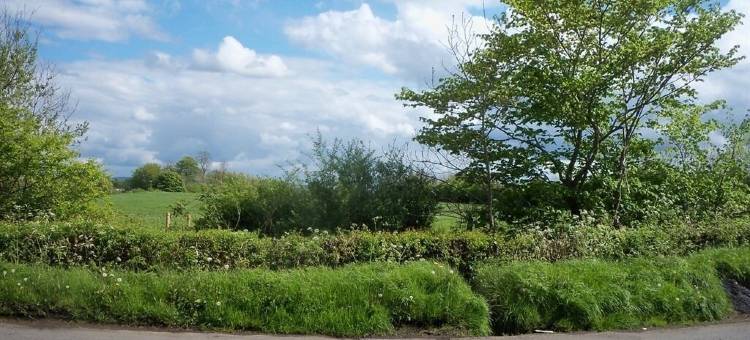 利斯纳菲兰小屋(Lisnafillan Lodge)图片