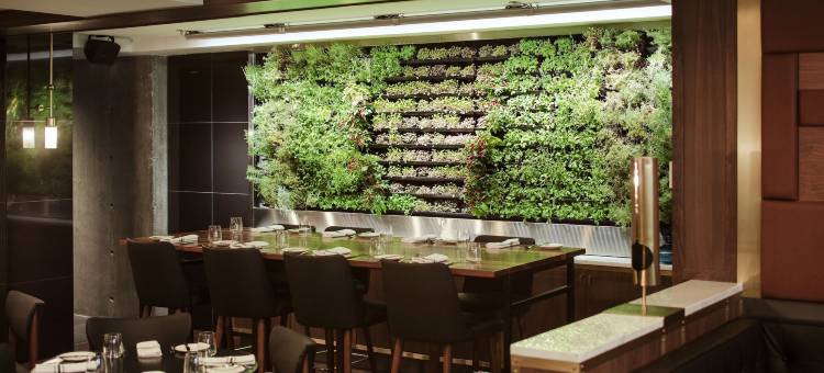 威廉格雷酒店(Hotel William Gray)图片