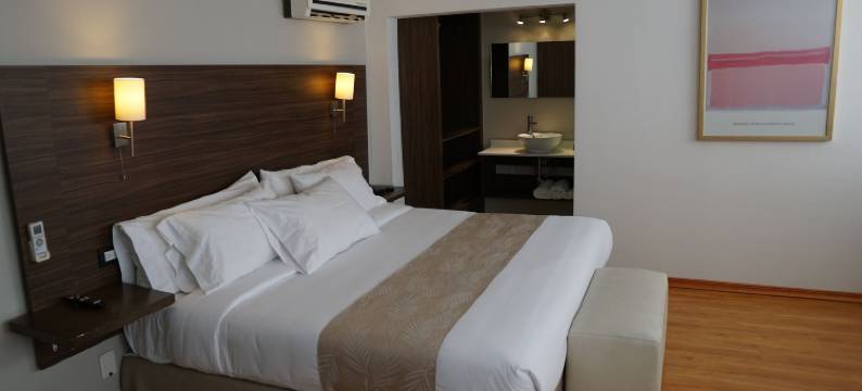 商务级萨莫拉中心酒店(El Hotel Business Class - Zamora Centro)图片