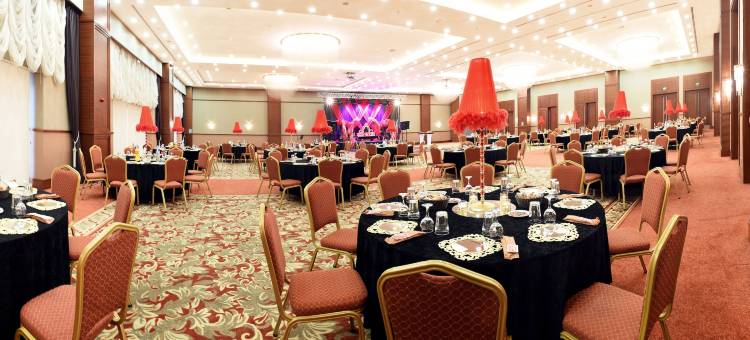 马拉提亚阿尔丁卡伊西温德姆华美达广场酒店(Ramada Plaza by Wyndham Malatya Altin Kayisi)图片