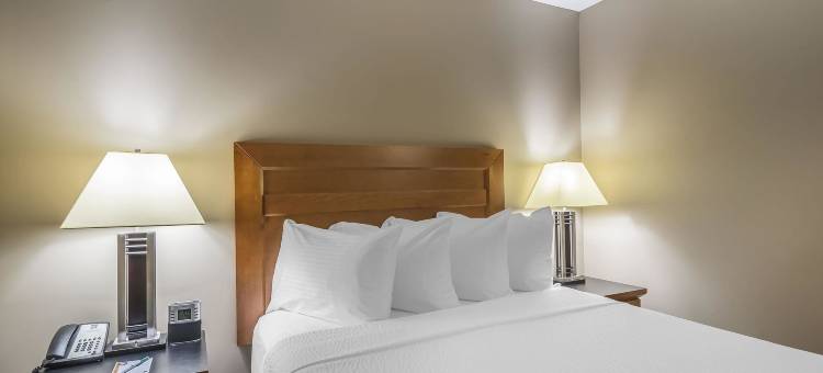 西埃德蒙顿凯艺酒店(Quality Inn West Edmonton)图片