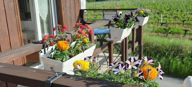 坎尼塞住宿加早餐旅馆(Le Domaine de Canesse)图片