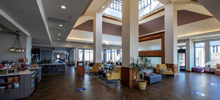 拉皮德城希尔顿花园酒店(Hilton Garden Inn Rapid City)图片