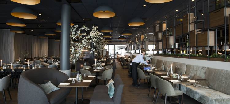 维尤品质酒店(Quality Hotel View)图片