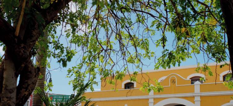 坎佩切广场酒店(Hotel Plaza Campeche)图片