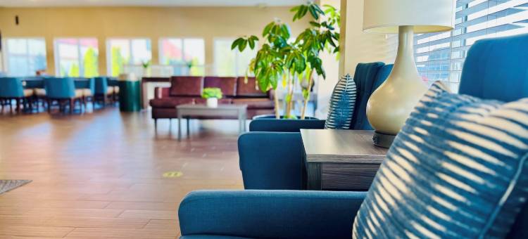 凯艺套房酒店(Quality Inn & Suites)图片