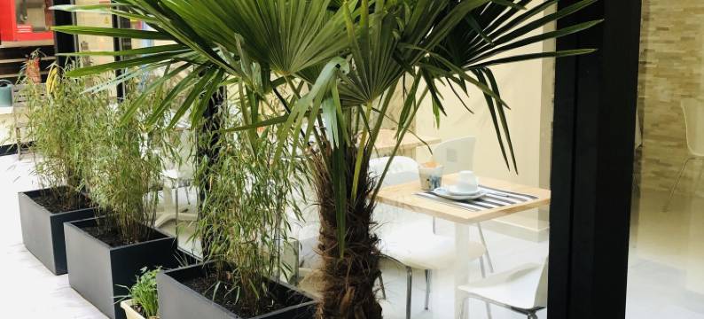 马莫特尔艾托尔酒店(Marmotel Etoile)图片