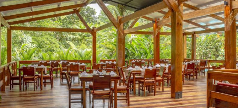 查查古亚雨林旅馆及温泉(Chachagua Rainforest Hotel & Hot Springs)图片
