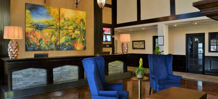 希尔顿彼得马利兹堡阿纽饭店(ANEW Hotel Hilton Pietermaritzburg)图片