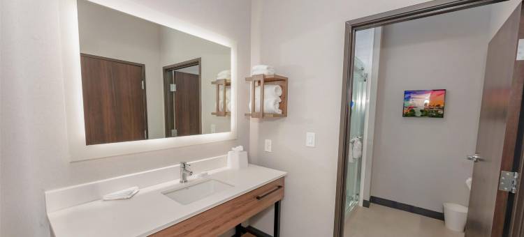 Hampton Inn & Suites by Hilton Irving Hwy 183图片
