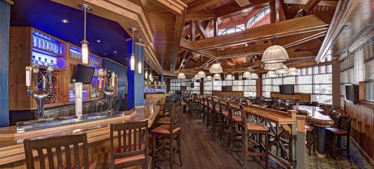 滨水大楼酒店，贝斯特韦斯特至尊精选(The Water Tower Inn, BW Premier Collection)图片